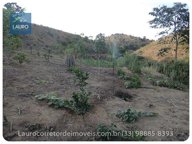 Sítio com 9 Alqueires a 30 km de T. Otoni - Foto 11