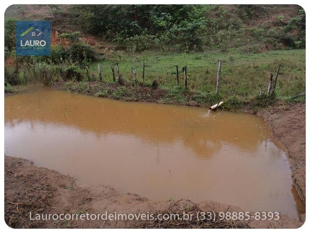 Sítio com 9 Alqueires a 30 km de T. Otoni - Foto 9