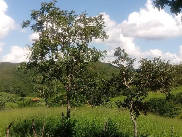 Fazenda em Unaí - MG - Foto 15