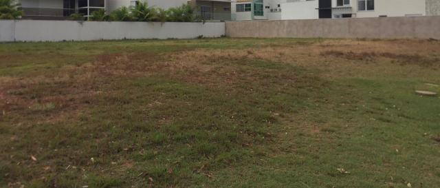 Terreno à venda, 750 m² - loteamento alphaville ii - cuiabá/mt - Foto 7