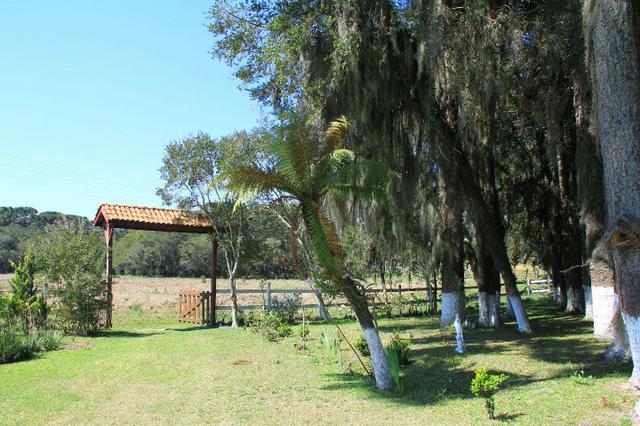 Chácara Araucária, 284.000m², tanques, nascente - Foto 2