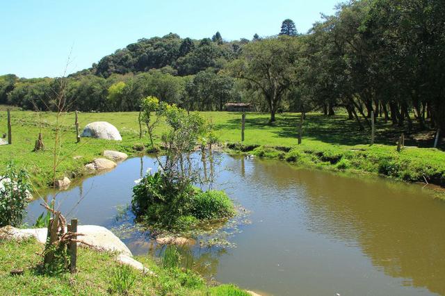 Chácara Araucária, 284.000m², tanques, nascente - Foto 20