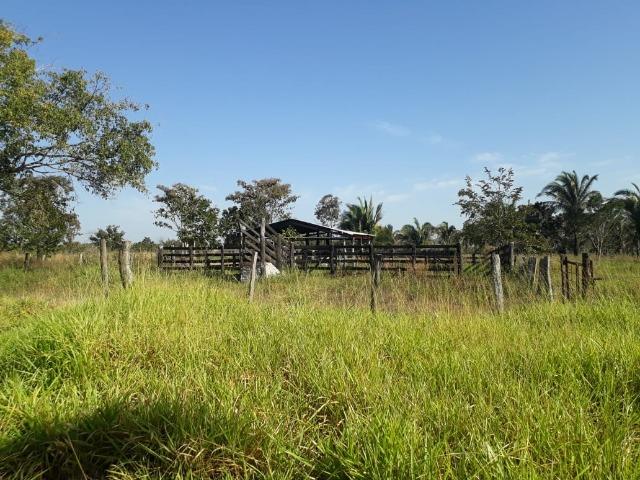 Fazenda há 50 km de Várzea Grande sentido Poconé - Foto 12