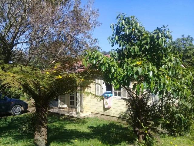 Sítio - Foto 3