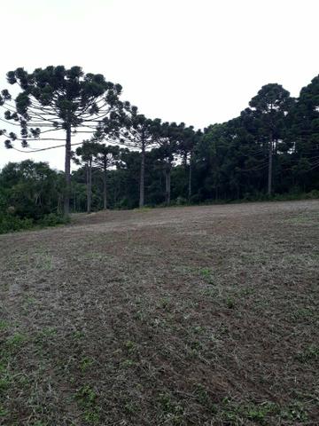 Sítio Chacara Pedra Alta - Foto 3