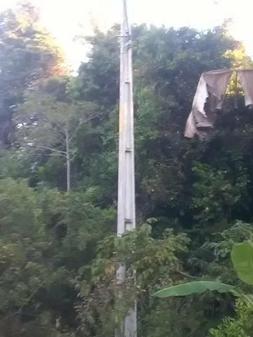 Vendo fazenda em Gandu BA - Foto 4
