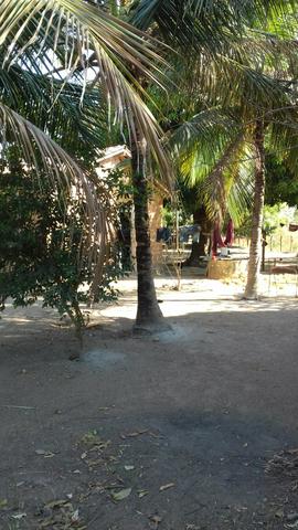Vendo uma terra pertinho do arraia 13 alqueiro - Foto 11