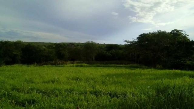 Fazenda Ribeirão - Foto 8