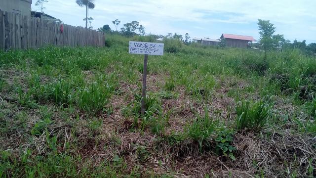 Vendo um terreno medindo. 12×25. no bairro Leo poldina. Há 100 metro da BR - Foto 2
