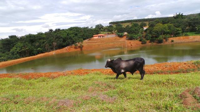 Sítio 22 hectares em Planalmira - Foto 18