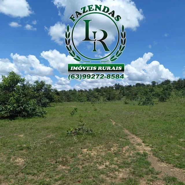 Fazenda 104 Alqueires Beirada Asfalto - Foto 5