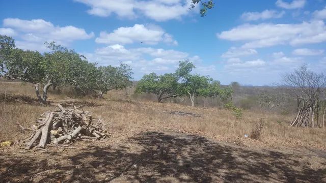 Captação de Terreno a venda na Rua Manoel da Costa Ferreira, Centro, Feira de Santana, BA