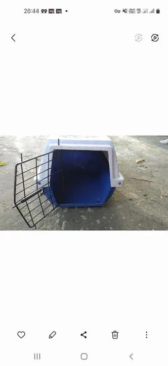Transporte pra gatos e cachorros 