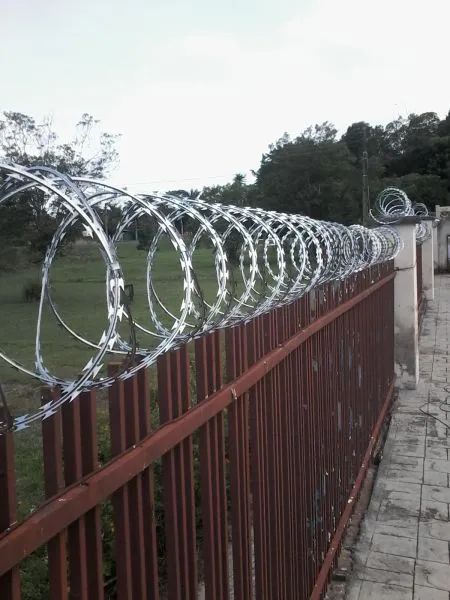 Cerca concertina dupla (metro) instalado - Foto 2