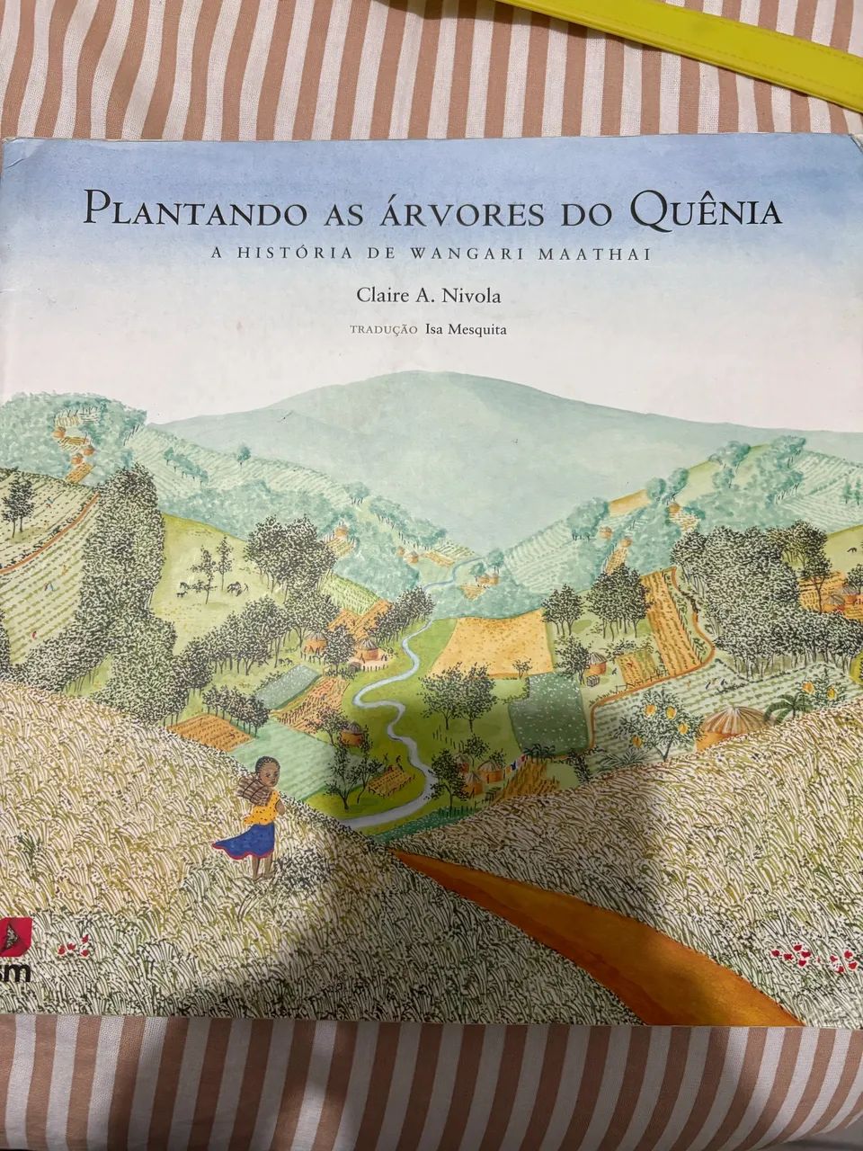 Paradidáticos Diversos  - Foto 3