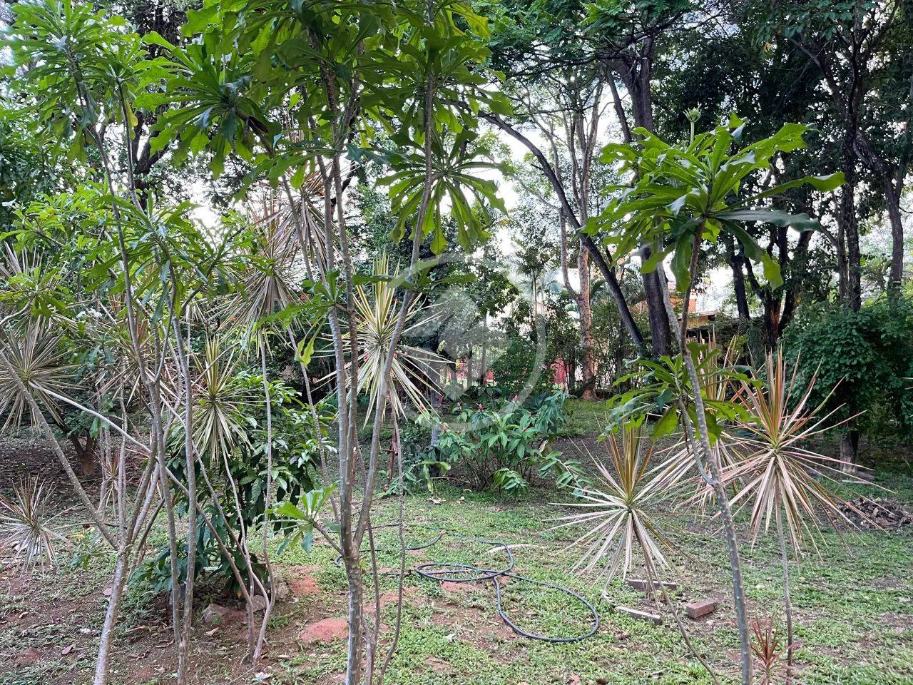 Terreno 1060 m² - Condados Lagoa codigo: 99447 - Foto 3