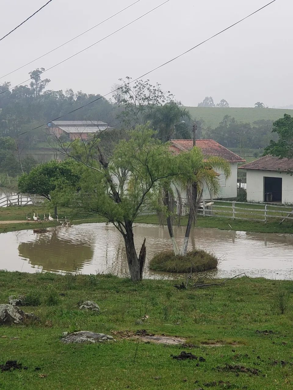 Torrando sitio lindo... - Foto 3
