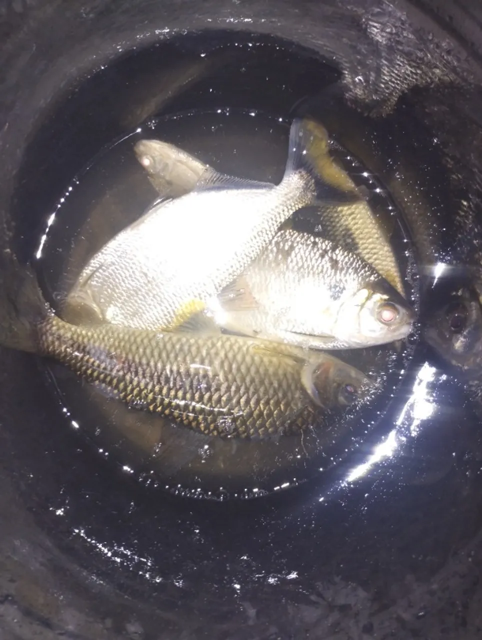 Chácara com banho no MURUPÚ.