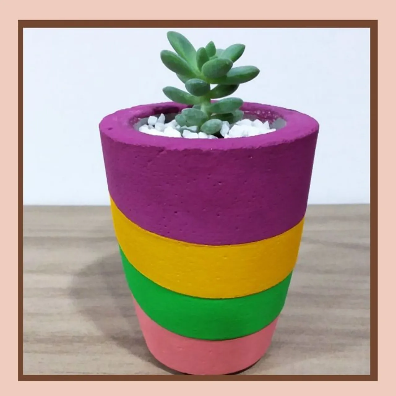 Vaso de Planta Colorido para Suculenta