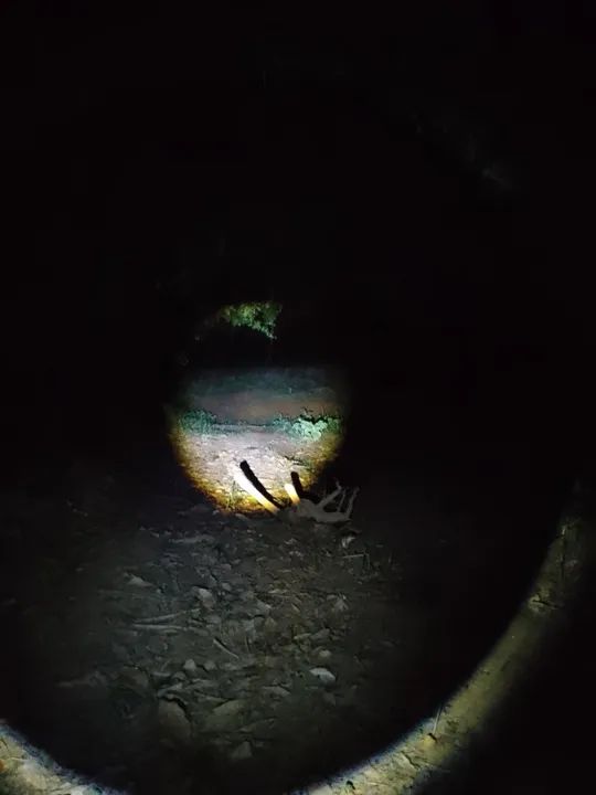 LANTERNA DE LED - Foto 3