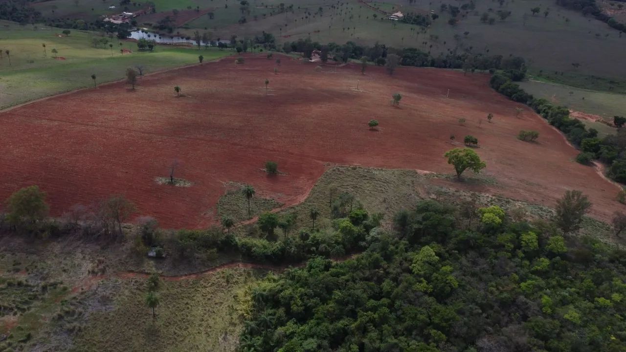 Fazendinhas rural em florestal  - Foto 3