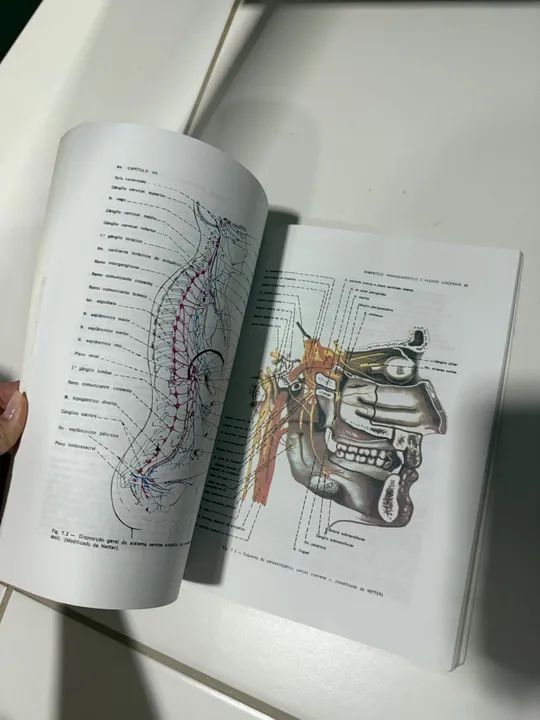 Anatomia Humana Básica - Dangelo e Fattini - 2ª edição - Foto 2