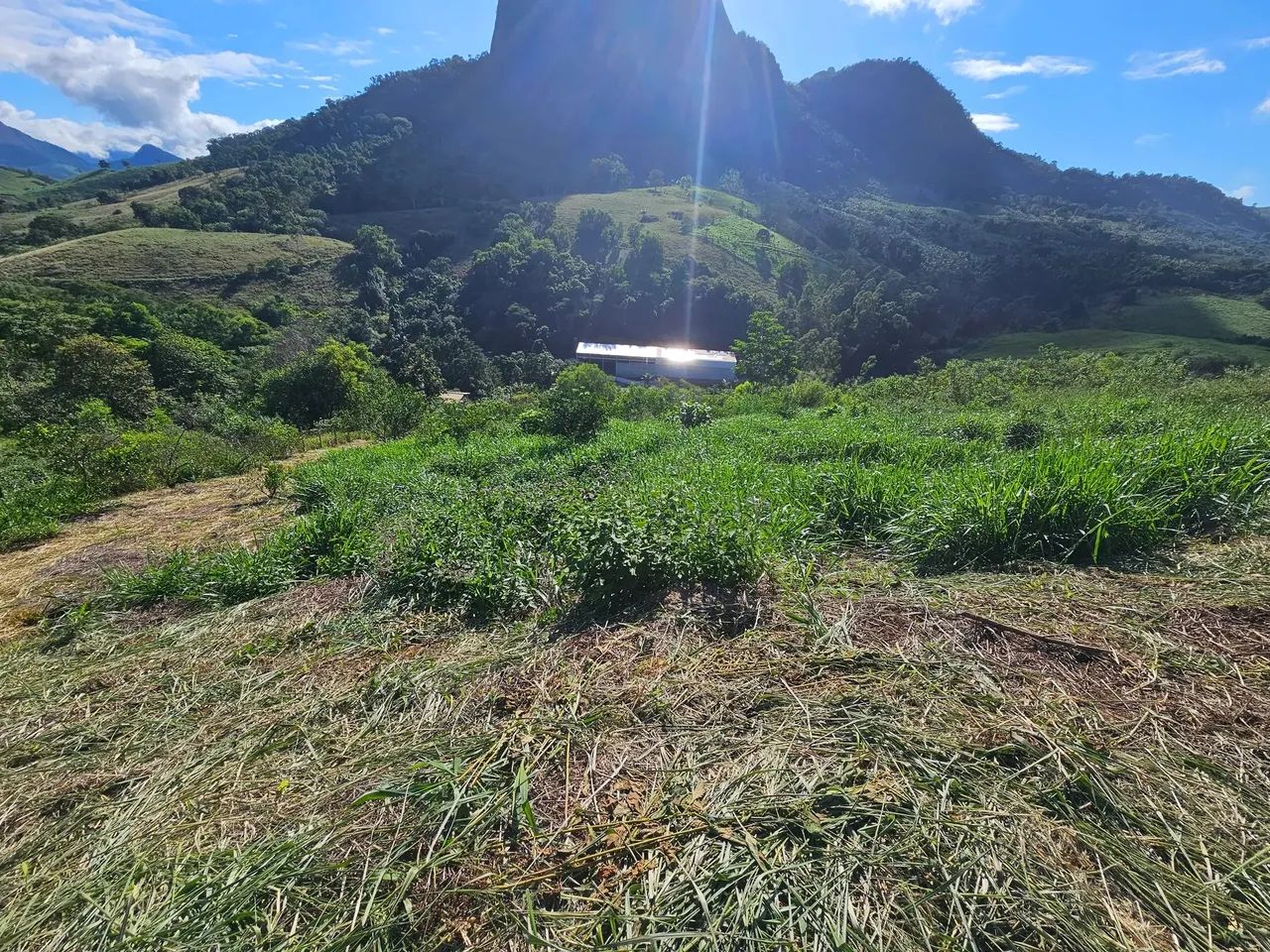 Venda! sítio na rodovia do frade - Foto 2