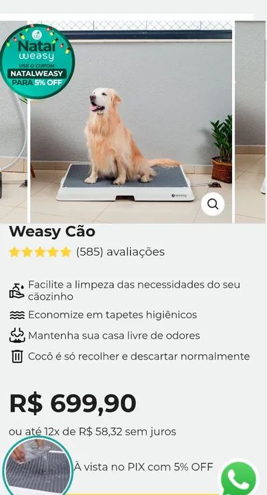 Sanitário higiênico 