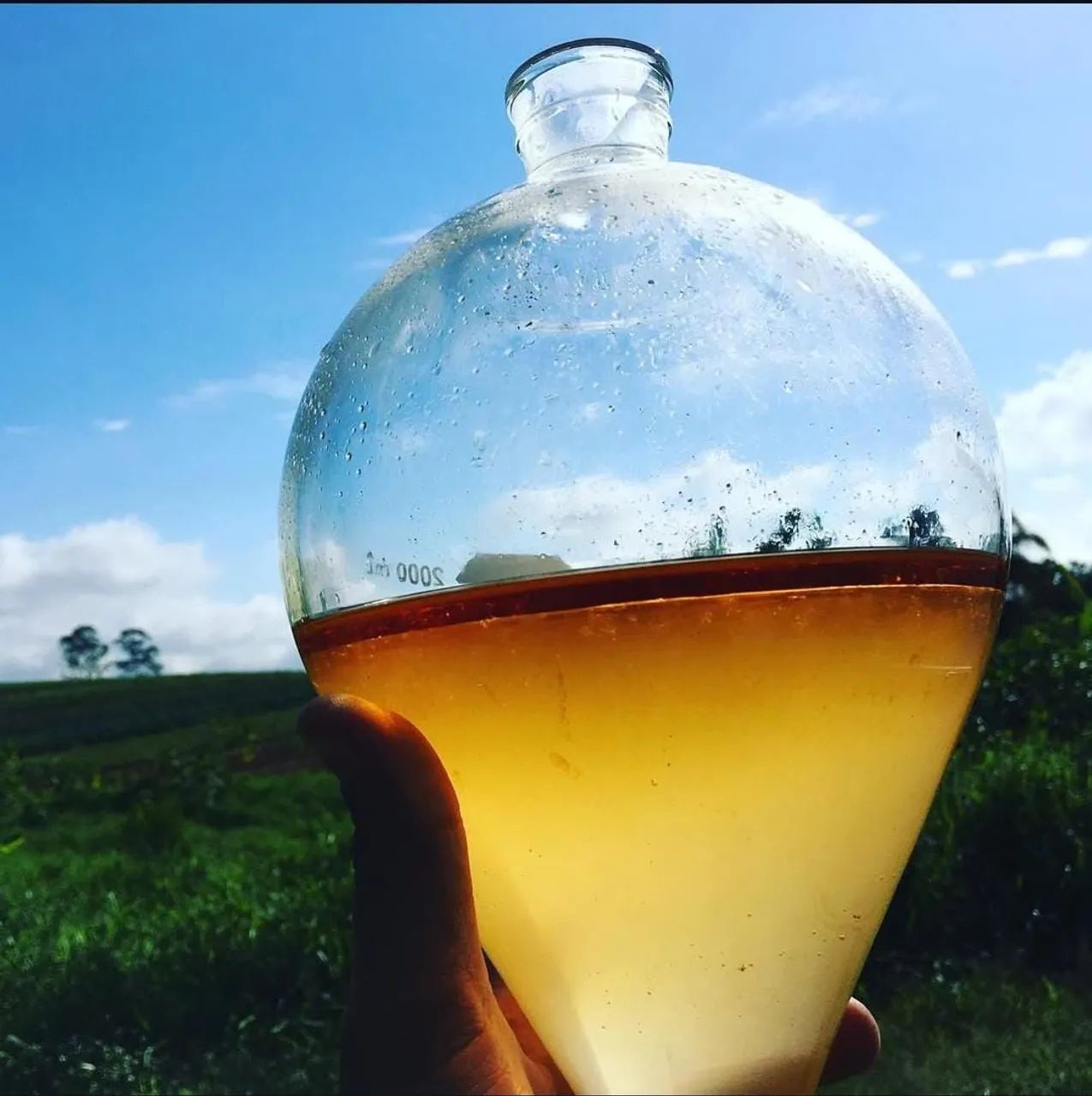 Tanques Destilador Industriais em Aço Inox - Foto 5