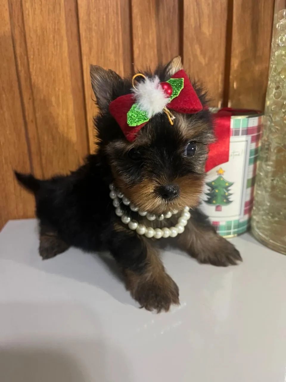 Yorkshire mine - Foto 5