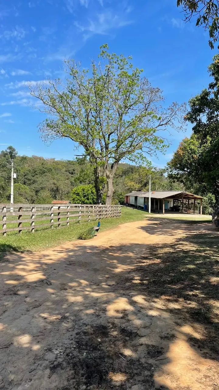 Chácara com 1000m² por apenas R$65.000? SIM, é verdade! - Foto 5