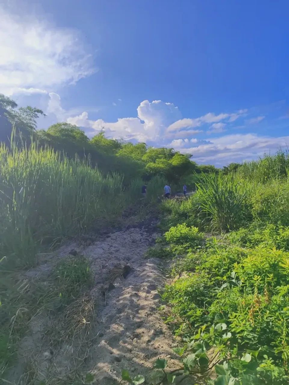 Fazenda com 55 hectares em São José de mipibu frente para BR101