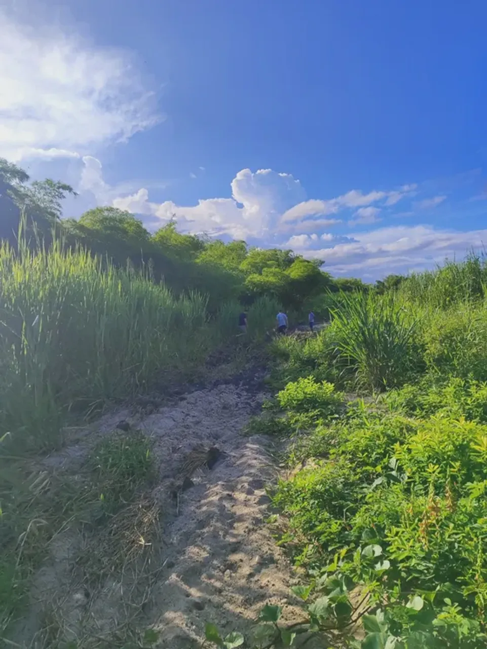 Fazenda com 55 hectares em São José de mipibu frente para BR101