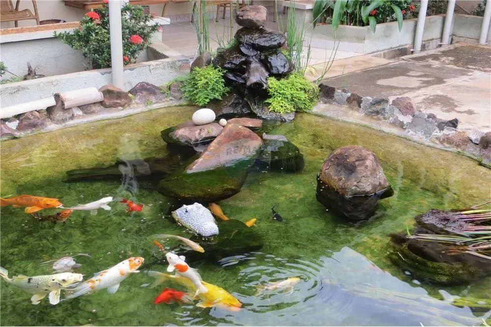 KOI Pensão Hostel Mobilada a Venda próximo da UNESP de Jaboticabal/SP - Foto 4