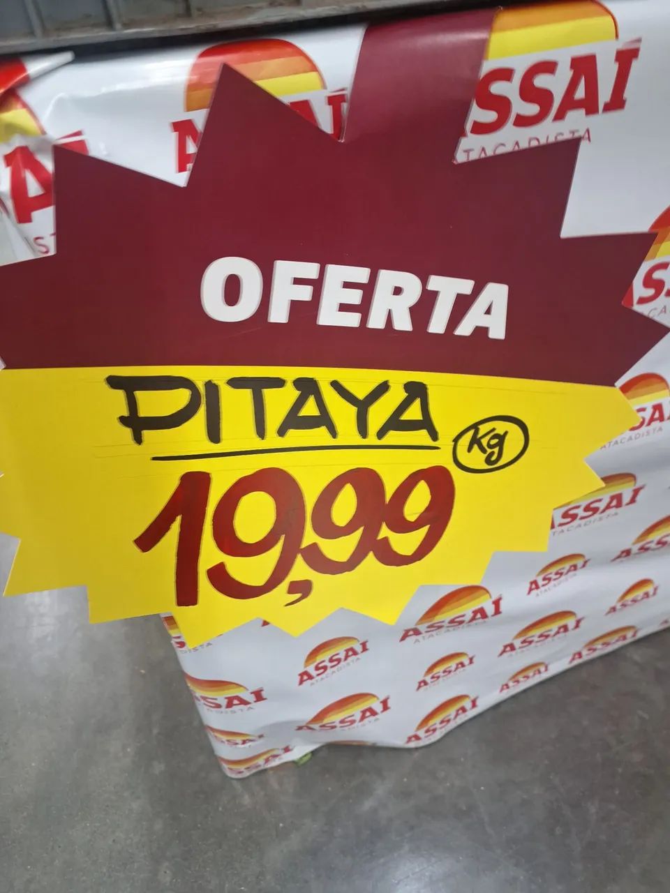 Muda de Pitaya - Foto 5
