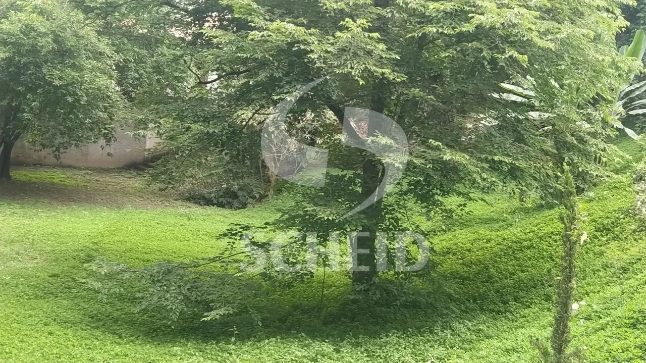 Terreno no Morumbi com 1.600m² - Foto 5