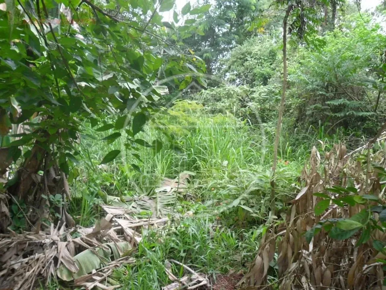 Terreno à venda no Parque do Terceiro Lago - Foto 3