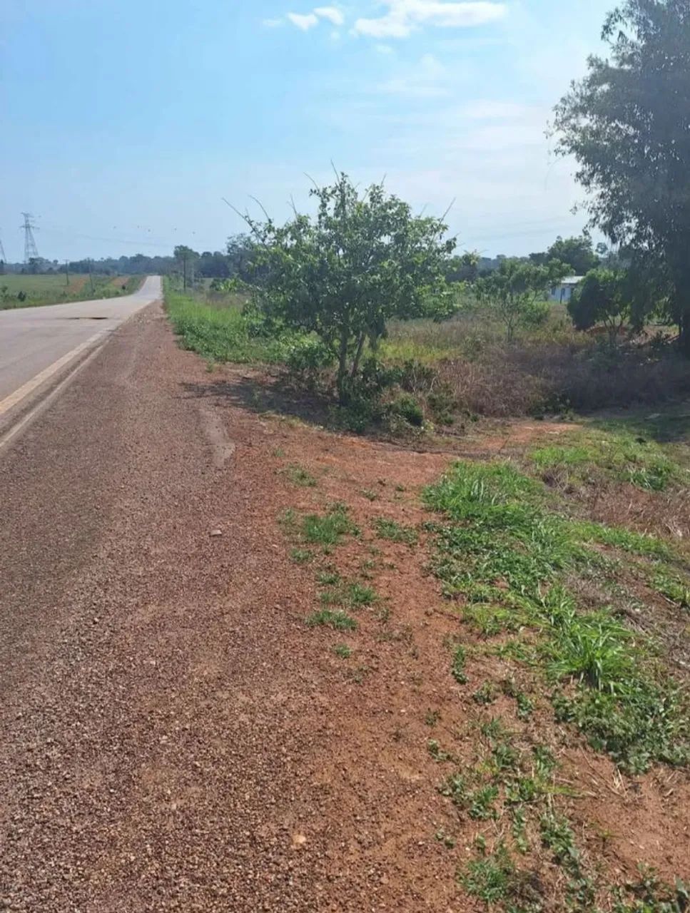 Chácara 12.5 hectare  - Foto 3