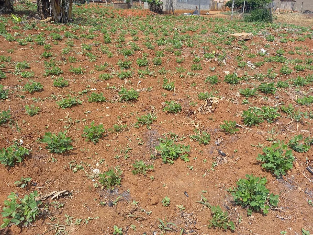 Vendo/Troco por veículo.  - Foto 5