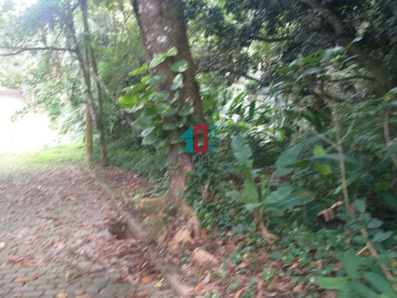 Vargem Pequena | Terreno - Foto 2