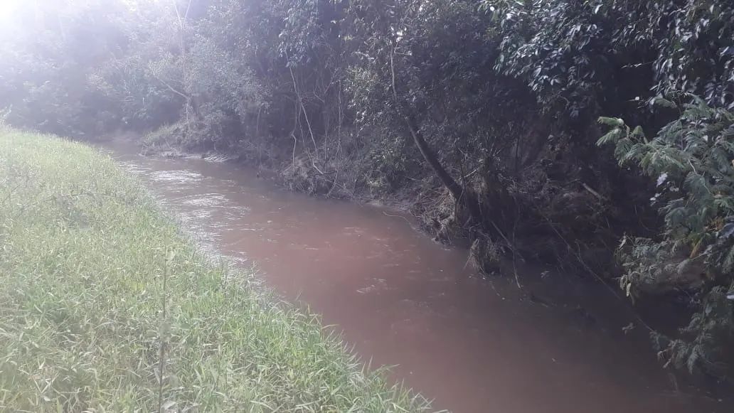 Vendo chácara com 1 alqueire, em rio claro, com rio dentro - Foto 3