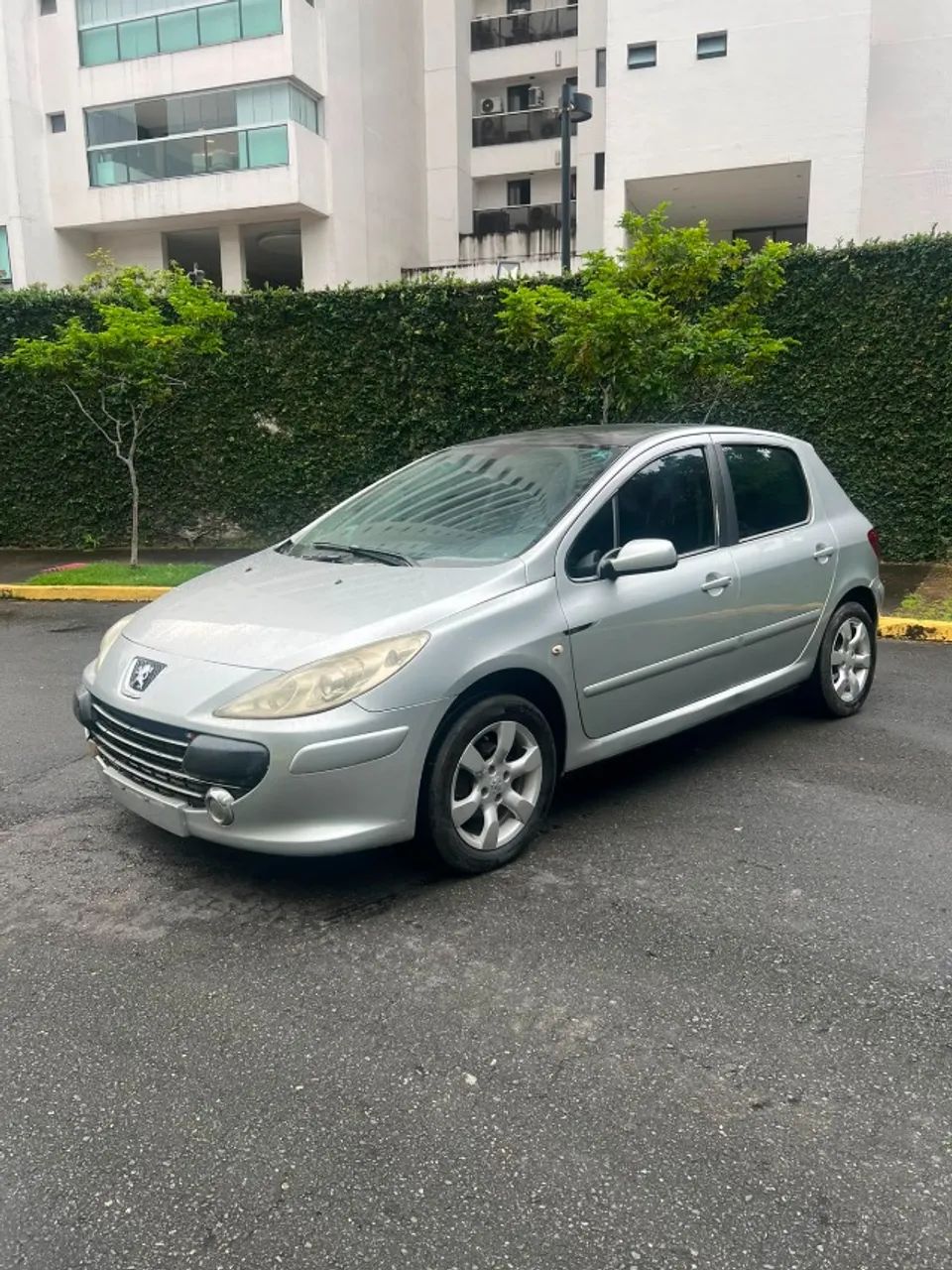 Peugeot 307 307 Soleil/ Presence 1.6/1.6 Flex 16V 5p 2011