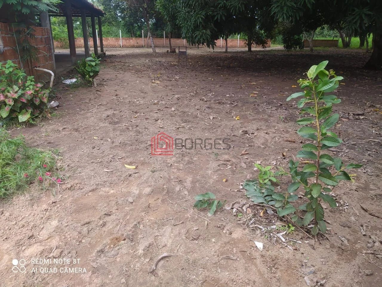 CHÁCARA/SÍTIO NA BEIRA DO RIO TOCANTINS - Foto 3