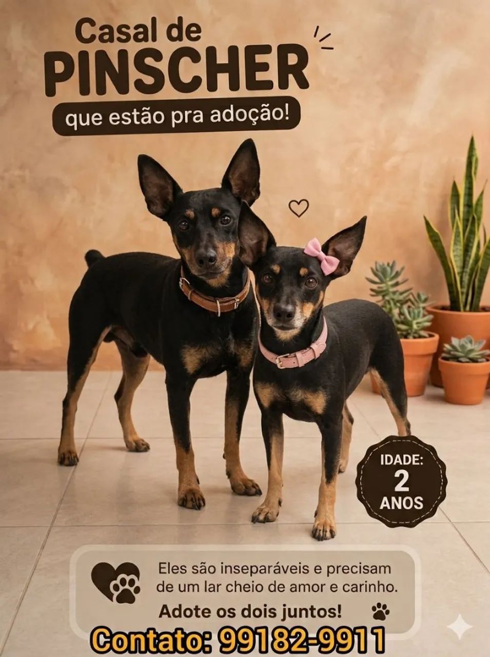 CASAL DE PINSCHER 