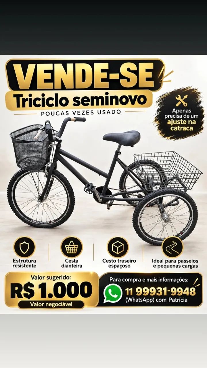 Bicicleta Triciclo