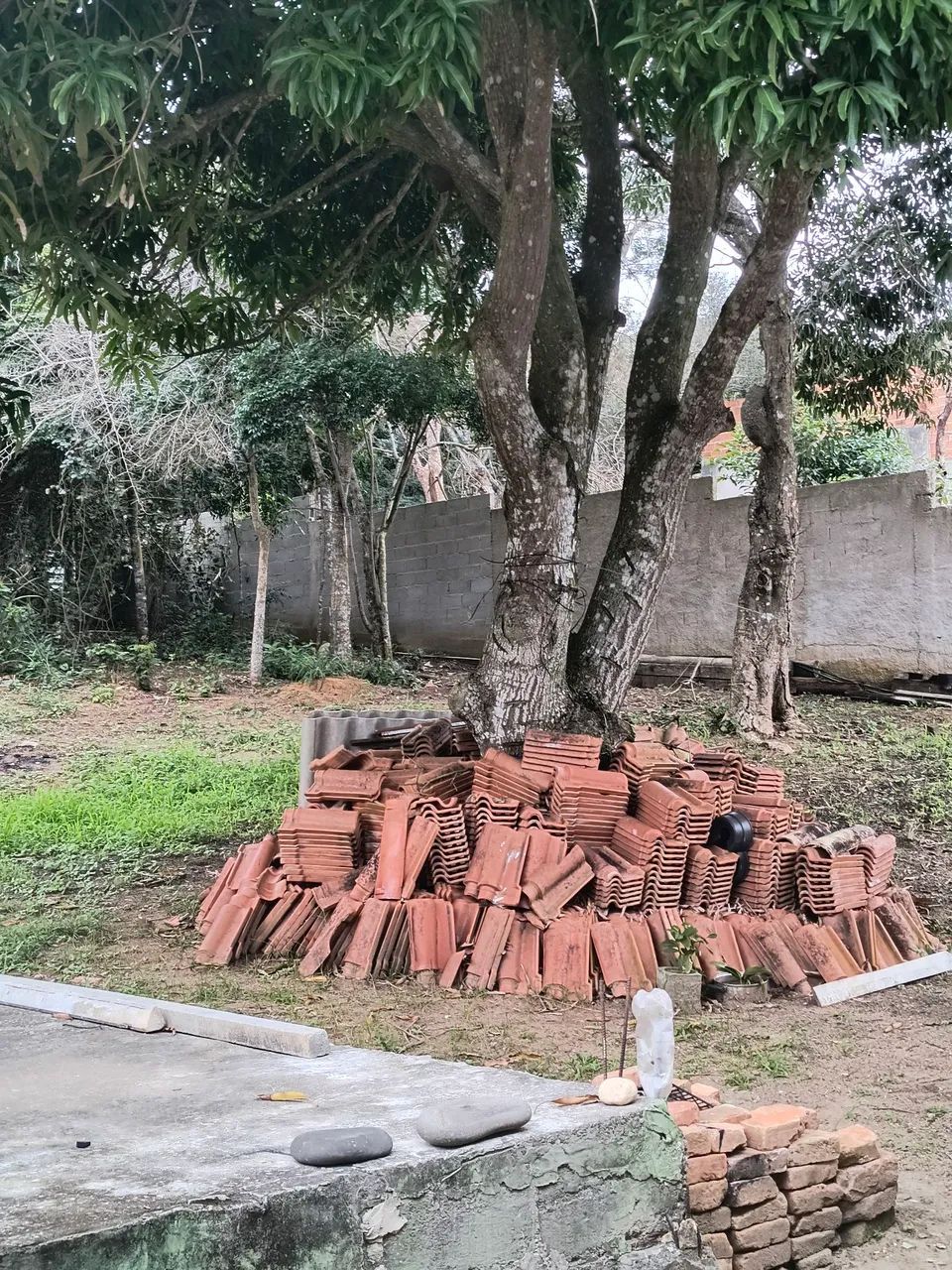 Telha Portuguesa  - Foto 2