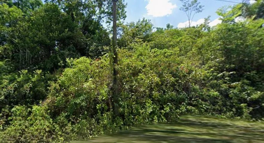 Vendo sitio na estrada de silves 500.000m²  - Foto 4