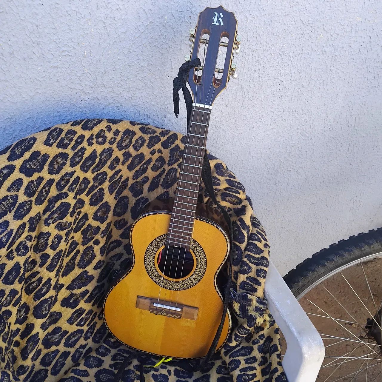 Cavaco Rozini profissional