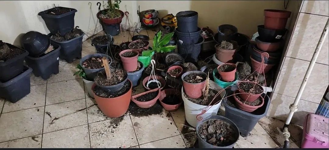 Doação de vasos e terras