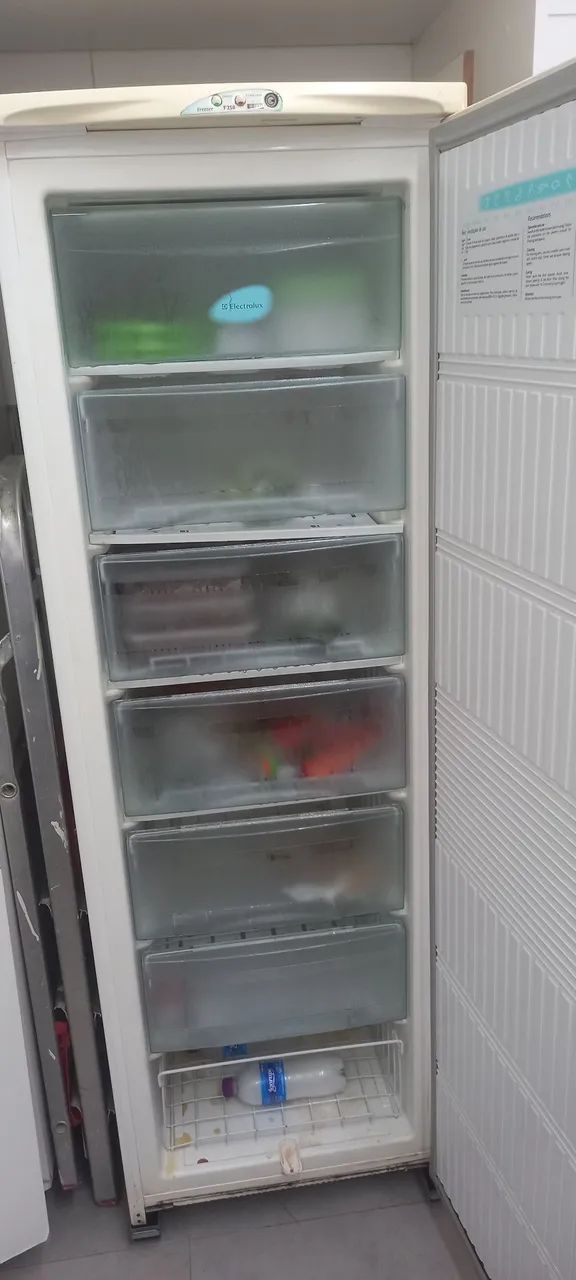 Freezer F250 Electrolux  - Foto 3